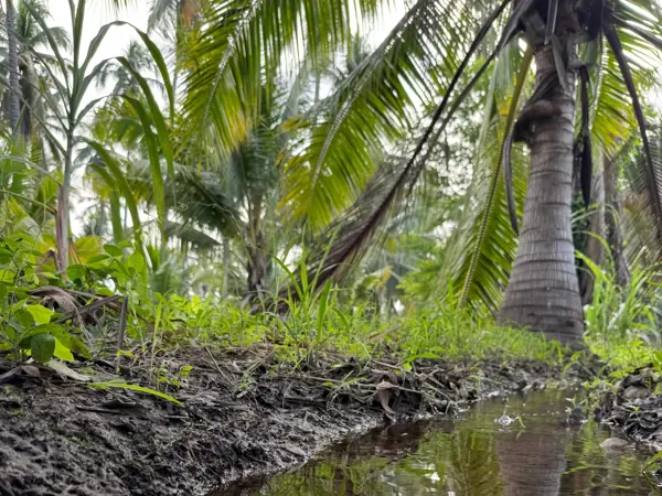 Terreno en venta en Petacalco, La Unión de Isidoro Montes de Oca — foto 3 de 11