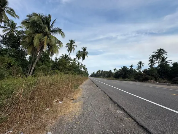 Terreno en venta en Petacalco, La Unión de Isidoro Montes de Oca — foto 2 de 11