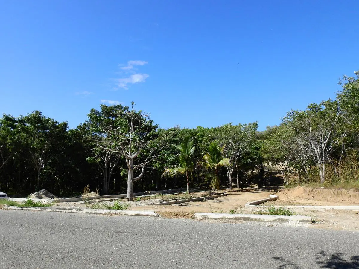 Terreno en venta en San Pedro Pochutla Centro, San Pedro Pochutla — foto 1 de 28