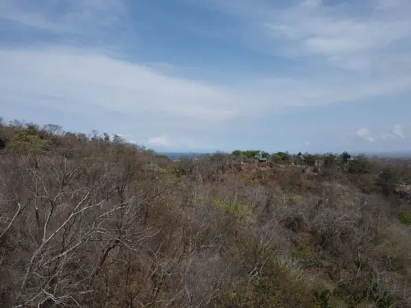 Terreno en venta en Mazunte, Santa María Tonameca — foto 3 de 10