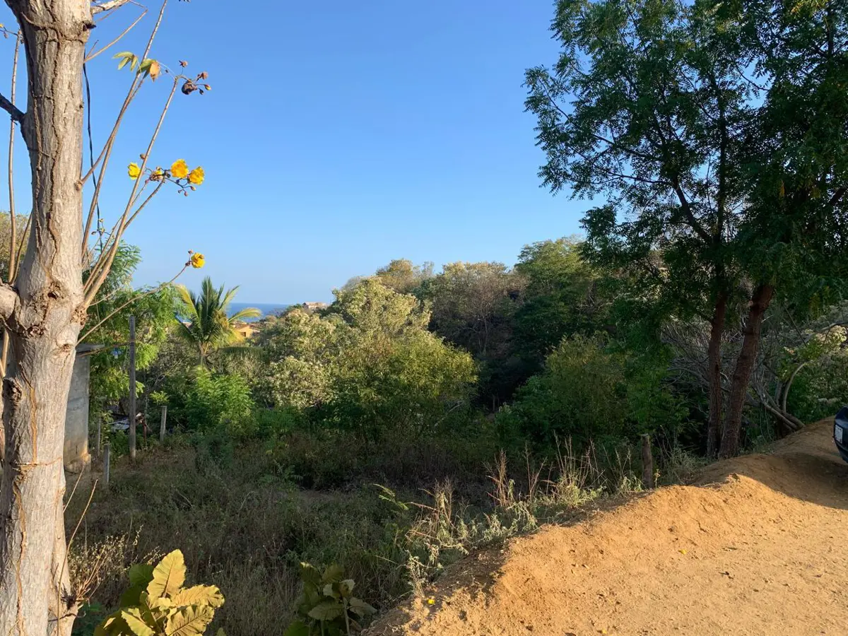 Terreno en venta en Playa Estacahuite, San Pedro Pochutla — foto 1 de 8