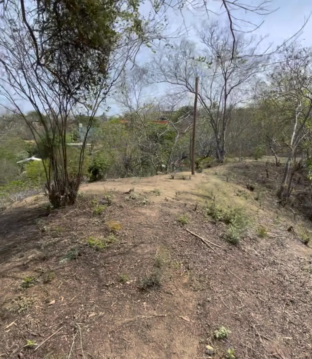 Terreno en venta en Playa Estacahuite, San Pedro Pochutla — foto 1 de 5