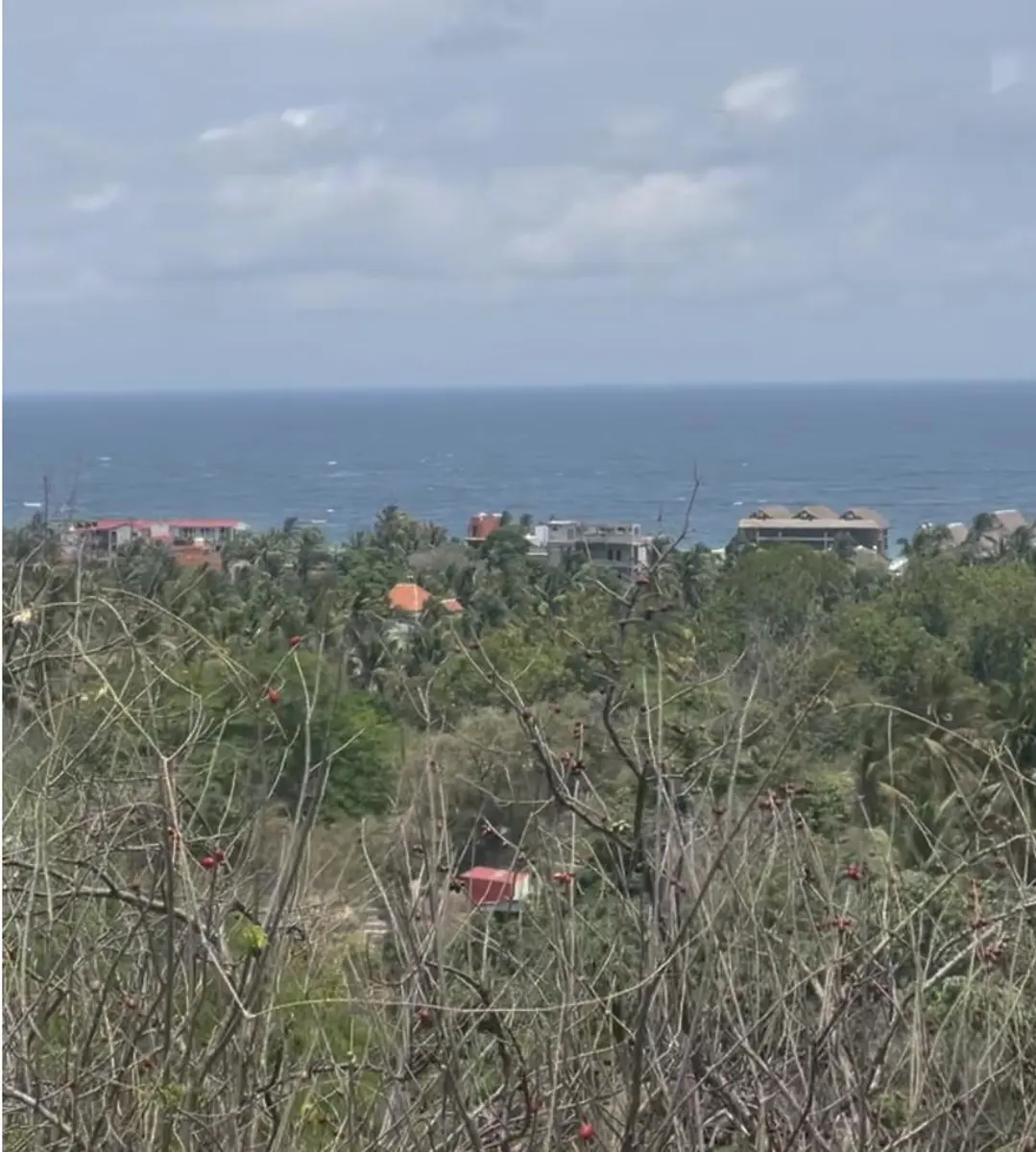 Terreno en venta en Playa Zipolite, San Pedro Pochutla — foto 1 de 2
