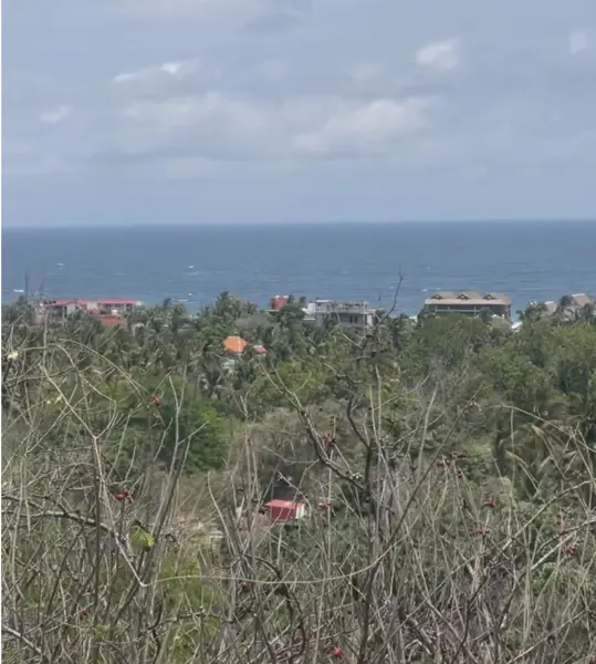 Terreno en venta en Playa Zipolite, San Pedro Pochutla, Oaxaca