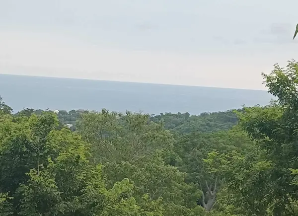 Terreno en venta en Playa Zipolite, San Pedro Pochutla — foto 2 de 2
