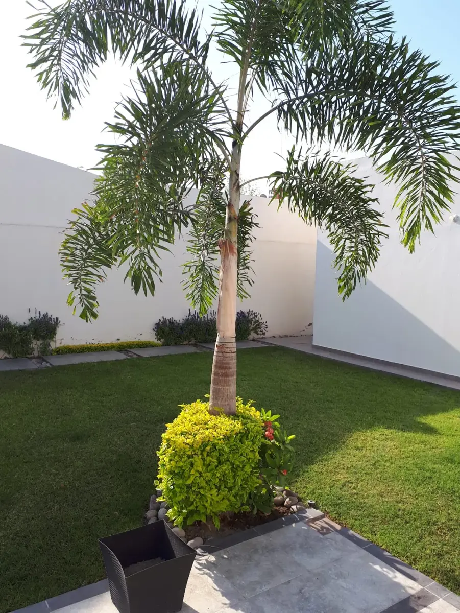 Departamento en renta en Torreon Jardin, Torreón — foto 1 de 5