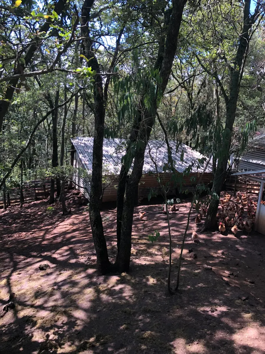 Terreno en venta en Loma de Don Juan, Villa del Carbón — foto 1 de 4