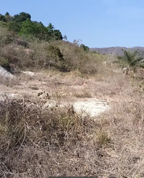 Terreno en venta en Manantial, Santa María Huatulco — foto 2 de 5