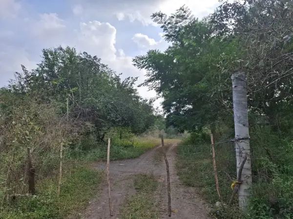 Finca-Rancho en venta en Cantarranas, Paso de Ovejas — foto 3 de 18