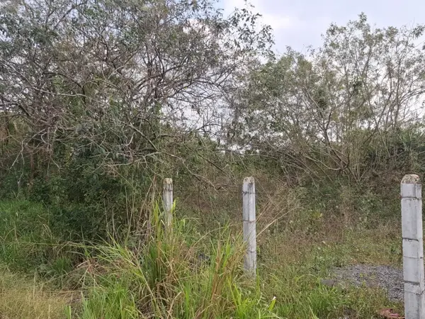 Finca-Rancho en venta en Cantarranas, Paso de Ovejas — foto 2 de 18