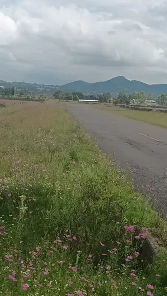 Terreno en venta en San Martin, Amealco de Bonfil — foto 3 de 16