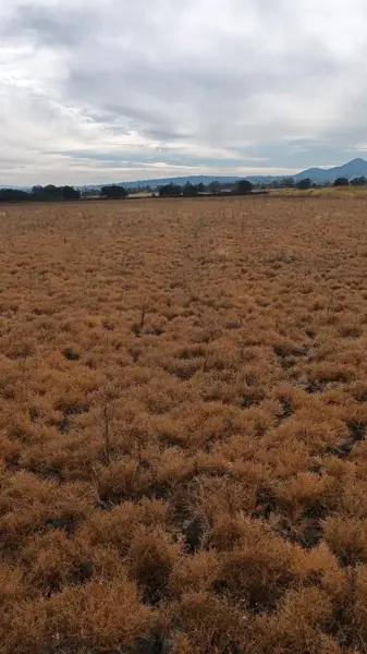 Terreno en venta en San Martin, Amealco de Bonfil — foto 2 de 16
