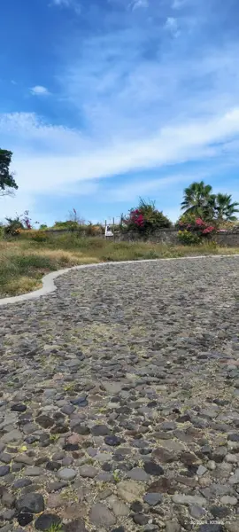 Terreno en venta en El Chivato (Providencia), Villa de Álvarez — foto 3 de 6