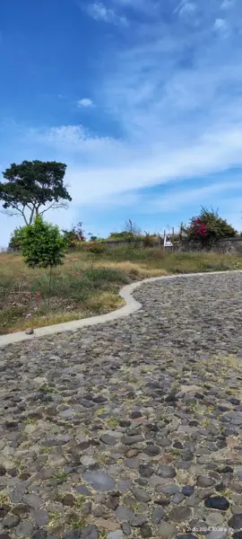 Terreno en venta en El Chivato (Providencia), Villa de Álvarez — foto 2 de 6