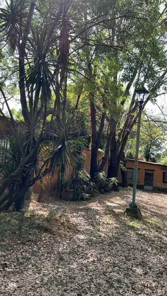 Casa en renta en Santa Maria Ahuacatitlan, Cuernavaca — foto 2 de 12