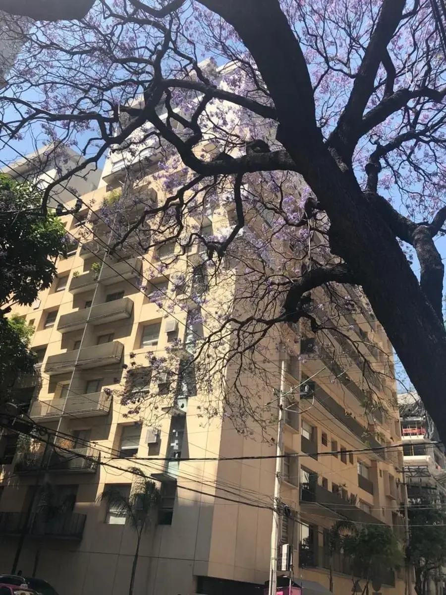 Departamento en venta en Granada, Miguel Hidalgo — foto 1 de 16