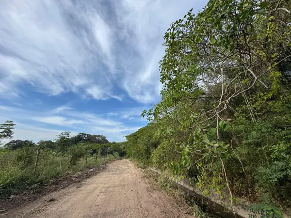 Terreno en venta en Surcua, La Unión de Isidoro Montes de Oca — foto 3 de 10