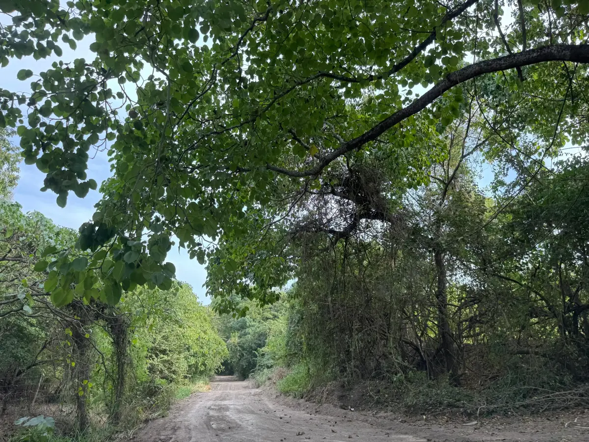 Terreno en venta en Surcua, La Unión de Isidoro Montes de Oca — foto 1 de 10
