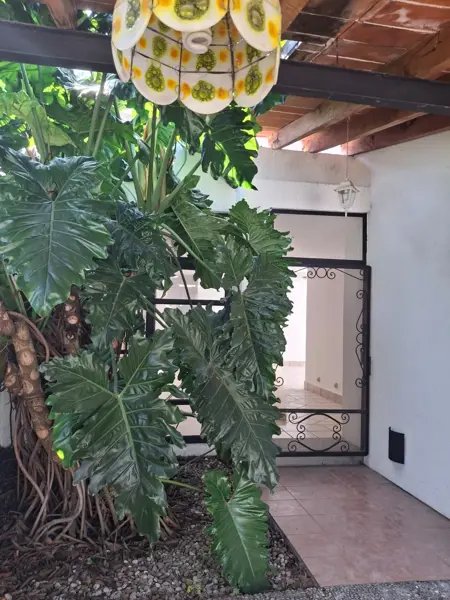 Casa en venta en Lomas de Atzingo, Cuernavaca — foto 3 de 12