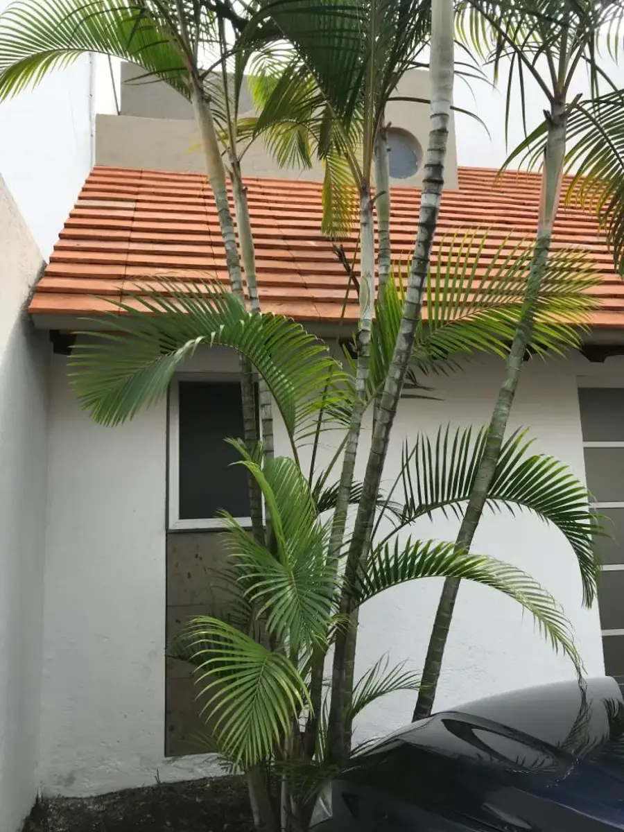 Casa en venta en Puerta del Sol, Cuernavaca — foto 1 de 27
