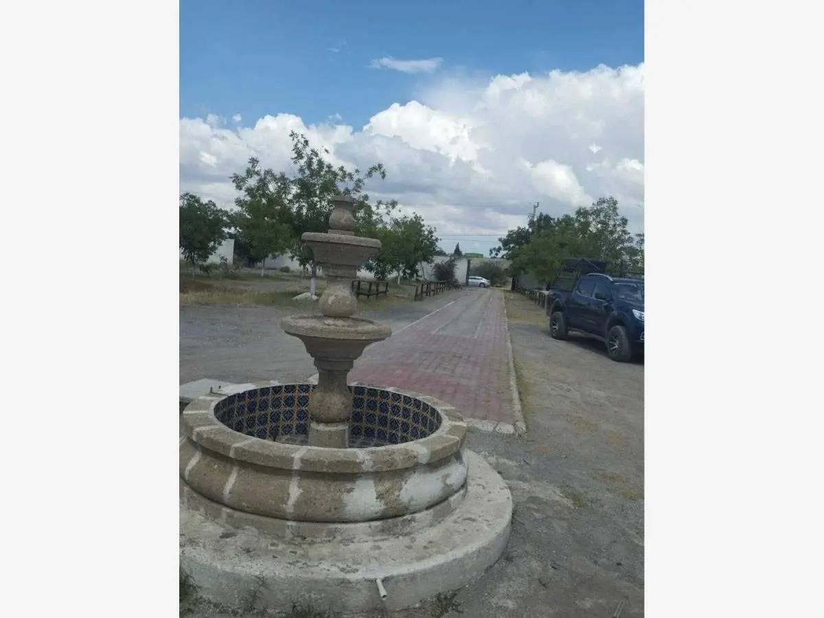 Imagen 5