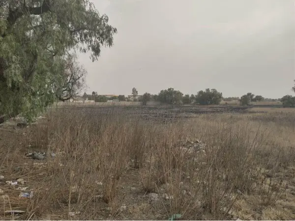 Terreno en venta en Tecámac de Felipe Villanueva Centro, Tecámac — foto 2 de 6