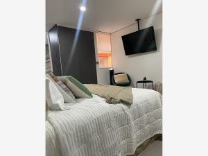 Departamento en renta en Anzures, Miguel Hidalgo — foto 2 de 17