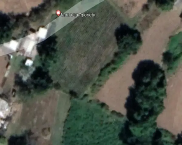 Terreno en venta en San Agustín de las Palmas (San Agustín), Donato Guerra — foto 2 de 5