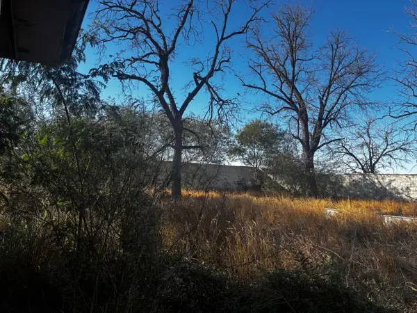 Terreno en venta en San Armando, Torreón — foto 2 de 3
