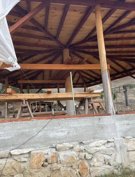 Terreno en venta en Teopisca Centro, Teopisca — foto 2 de 6