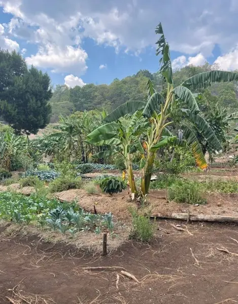 Terreno en venta en Teopisca Centro, Teopisca, Chiapas