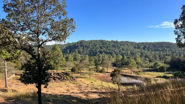 Terreno en venta en Teopisca Centro, Teopisca, Chiapas