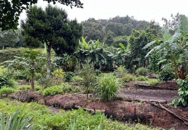 Terreno en venta en Teopisca Centro, Teopisca — foto 3 de 11