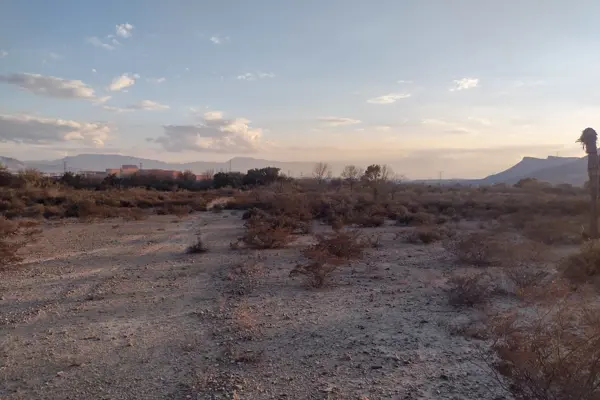 Terreno en renta en Santa Maria, Ramos Arizpe — foto 2 de 6