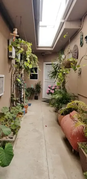 Departamento en renta en Ampliación Constitución, Playas de Rosarito — foto 2 de 15