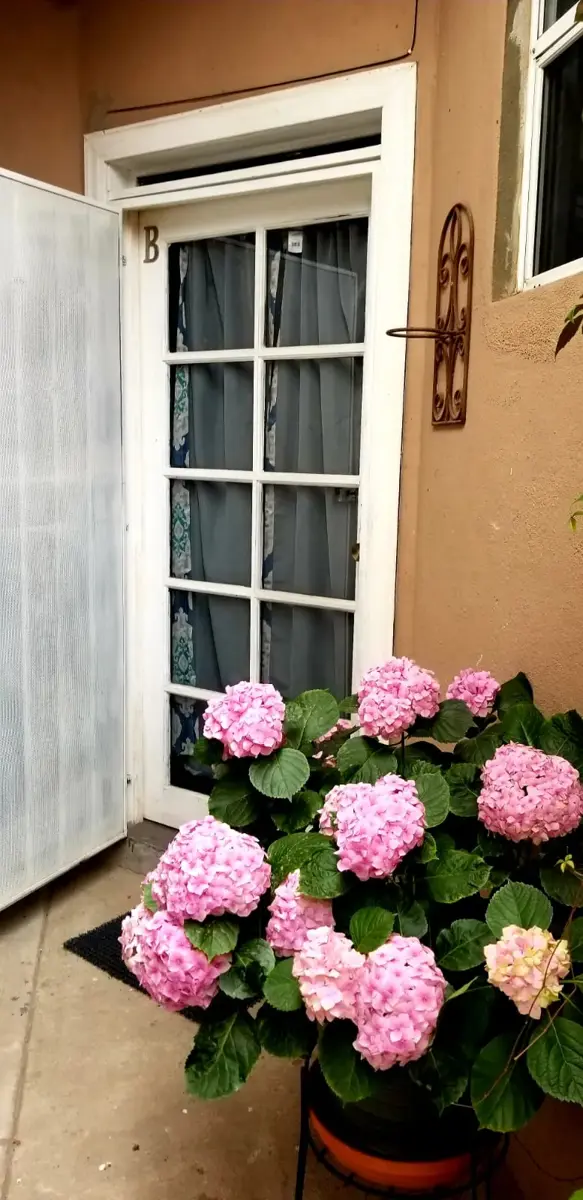 Departamento en renta en Ampliación Constitución, Playas de Rosarito — foto 1 de 15