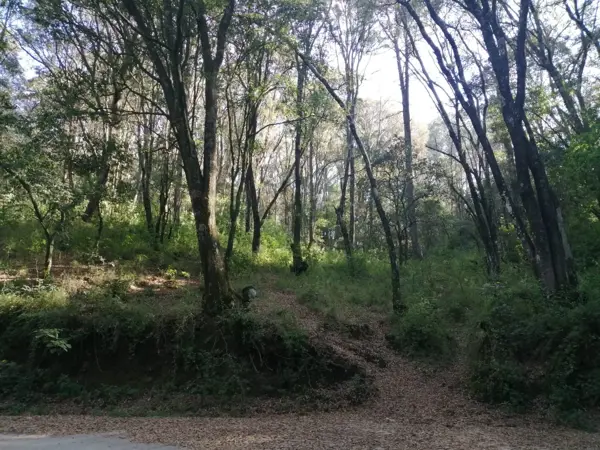 Terreno en venta en Laureles, Isidro Fabela — foto 2 de 6