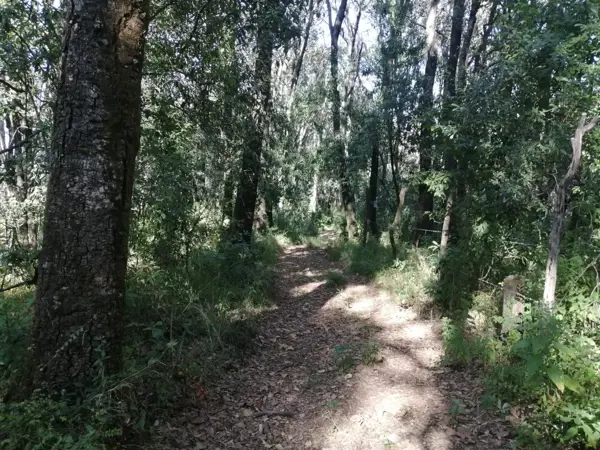 Terreno en venta en Laureles, Isidro Fabela — foto 3 de 6