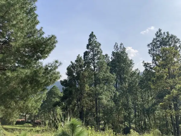 Terreno en venta en Cañada de Alferes, Lerma — foto 3 de 9