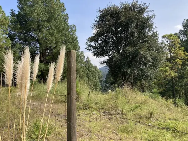 Terreno en venta en Cañada de Alferes, Lerma — foto 2 de 9