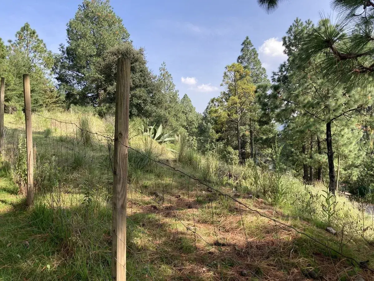 Terreno en venta en Cañada de Alferes, Lerma — foto 1 de 9