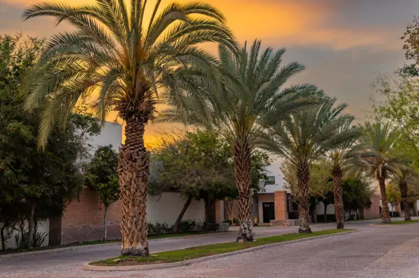 Terreno en venta en La Vinícola Residencial, Torreón — foto 3 de 14
