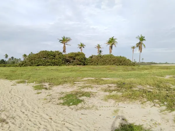 Terreno en venta en San Andres Playa Encantada, Acapulco de Juárez — foto 2 de 5