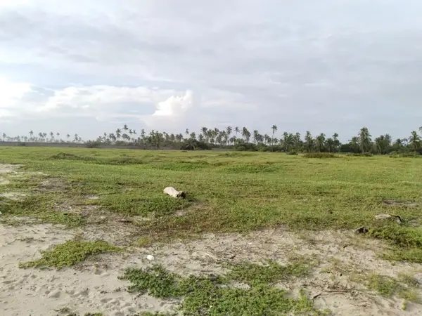 Terreno en venta en San Andres Playa Encantada, Acapulco de Juárez — foto 3 de 5