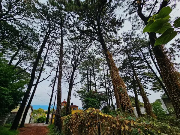 Casa en renta en Lomas de Tzompantle, Cuernavaca — foto 2 de 15