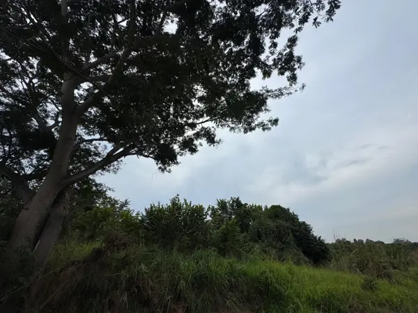 Terreno en venta en La Salada, La Unión de Isidoro Montes de Oca — foto 2 de 10