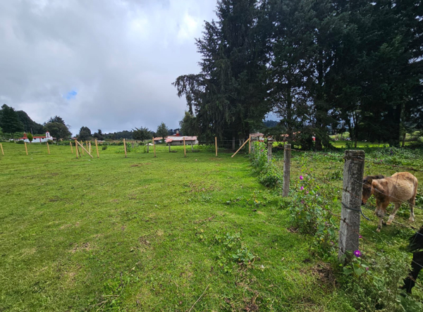 Terreno en venta en Mesa Rica (La Finca), Valle de Bravo — foto 2 de 8