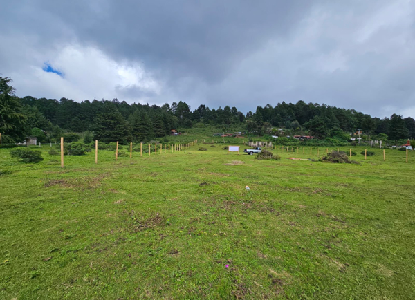 Terreno en venta en Mesa Rica (La Finca), Valle de Bravo — foto 3 de 8