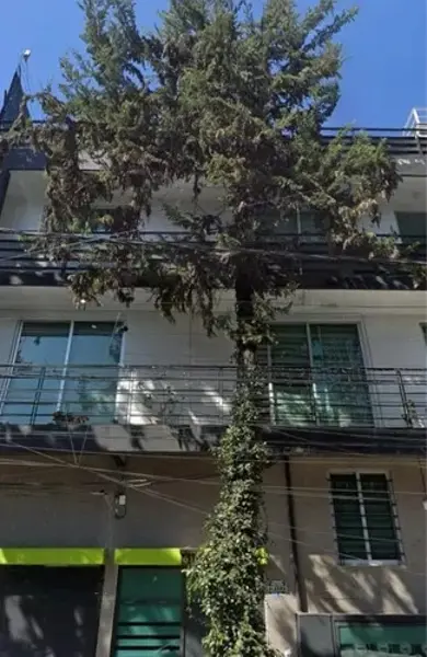 Departamento en renta en Portales Norte, Benito Juárez — foto 3 de 35