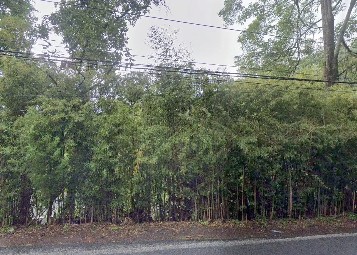 Terreno en venta en Avandaro, Valle de Bravo — foto 1 de 2